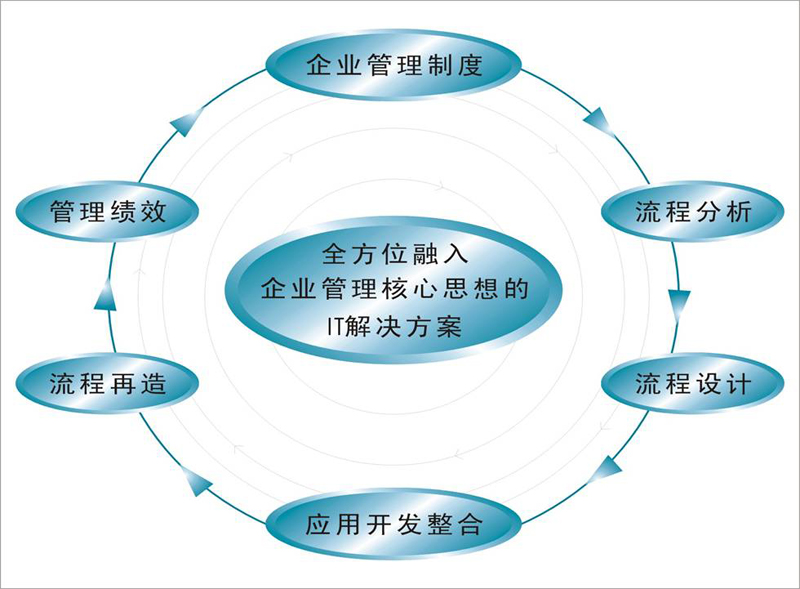 企業信息化原則